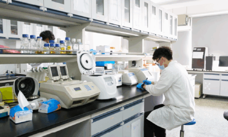 Enhancing Document Management and Collaborative Authoring with Veeva Vault