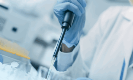 Lab Automation Strategy Assessment for a CDMO