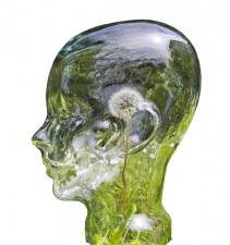 brain glass